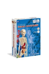 Clementoni İlk Keşiflerim - İnsan Anatomisi - 1
