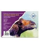 Art Liva Çok Amaçlı Resim Defteri 25x35 cm 350g - 1