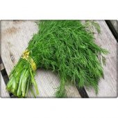 Arzuman Dereotu Tohumu (25 Gr) - 1