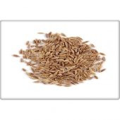 Arzuman Dereotu Tohumu (25 Gr) - 3