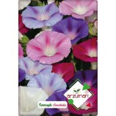 Arzuman Sarmaşık Çiçeği Tohumu 50 Adet Karışık Renk thumbnail 1