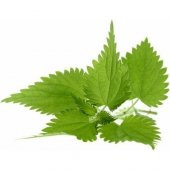 Arzuman Doğal Isırgan Otu Tohumu 100 lü - 2