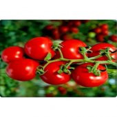 Arzuman Cherry Domates Tohumu (PINPON)(250 Adet) thumbnail 3