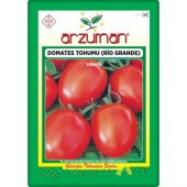 Arzuman Armut Domates (Salçalık Domates) Rio grande (10 gr) - 1