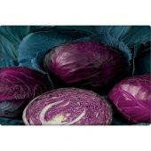 Arzuman Kırmızı Lahana Tohumu (Kara Lahana) 10 gr - 3