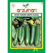Arzuman Salatalık Hıyar Tohum Beith Alpha 10 gr - 1
