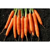 Arzuman Havuç Tohumu (10 Gr) thumbnail 3