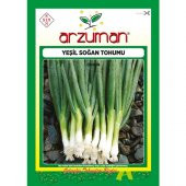 Arzuman Yeşil Soğan Tohumu 10 Gram - 1