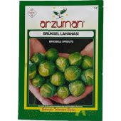 Arzuman Brüksel Lahanası 200lü thumbnail 1