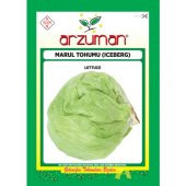 Arzuman Sebze Iceberg Marul Tohum 5 gr - 1