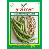 Arzuman Sebze Atlantis Fasulye Tohum Kırkgünlük 50 gr - 1