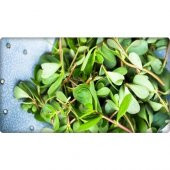 Arzuman Semizotu Tohumu 10 gr thumbnail 3