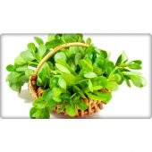 Arzuman Semizotu Tohumu 10 gr thumbnail 4