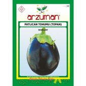 Arzuman Topan Patlıcan Tohumu 10 Gram thumbnail 1
