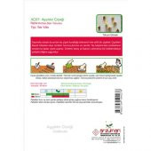 Arzuman Ay Yıldız (Gaillardia) Çiçek Tohumu 50 Adet thumbnail 2