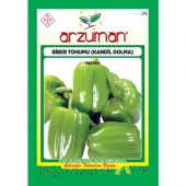 Arzuman Biber Tohumu - 1