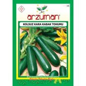 Arzuman Sebze Kolsuz Kara Kabak Tohum 10 gr - 1