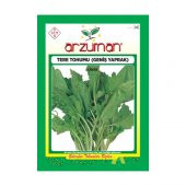Arzuman Tere Tohumu 10 gr - 1