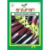 Arzuman Sebze Patlıcan Tohum Kemer 10 gr - 1