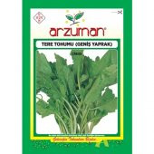Arzuman Tere Tohumu (25 Gr) Arzuman thumbnail 1
