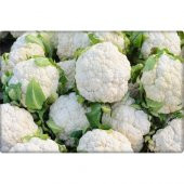 Arzuman Karnabahar Tohumu 500lü thumbnail 1