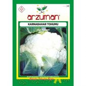 Arzuman Karnabahar Tohumu 500 Adet - 1