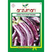 Arzuman Çizgili Alaca Patlıcan Tohumu 5 Gram - 1