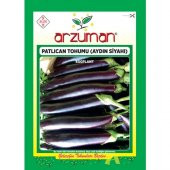 Arzuman Patlıcan Tohumu (10 Gr) Aydın Siyahı - 1