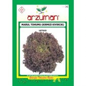 Arzuman Sebze Kırmızı Kıvırcık Marul Tohum 5 gr - 1