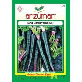 Arzuman Mor Havuç Tohumu (5 Gr) - 1