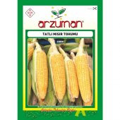 Arzuman Tatlı Mısır Tohumu 25 Gram - 1