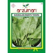 Arzuman Merve Kuzukulağı (Ekşi Ot) Tohumu 5 Gram - 1