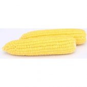Arzuman Küçük Çiftlik Tatlı Mısır Tohumu 25 gr Hibrit Şeker Mısır - 2