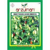 Arzuman Cin Biber Tohumu (Konik Biberiye) Yukarıbakan 5 gr - 1