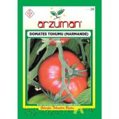 Arzuman Sebze Marmande Domates Tohum 5 gr - 1