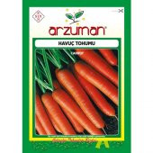 Arzuman Nantes Havuç Tohumu 10 Gram - 1