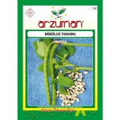 Arzuman Karnıkara Börülce Tohumu 25 Gram - 1