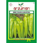 Arzuman Çarliston Biber Tohumu 10 Gram - 1