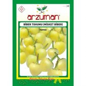 Arzuman Misket Biber Tohumu 5 Gram thumbnail 1