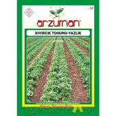 Arzuman Yazlık Kıvırcık Marul Tohumu 10 Gram thumbnail 1