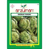 Arzuman Enginar Tohumu (20 Adet) - 1