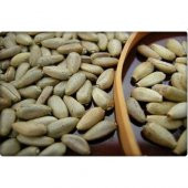 Arzuman Enginar Tohumu (20 Adet) - 2