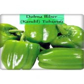 Arzuman Dolma Biber Tohumu İnce Kabuk 10 gr thumbnail 3