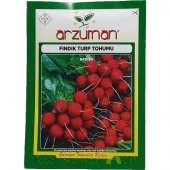 Arzuman Fındık Turp Cherrybelle 10 gr - 1