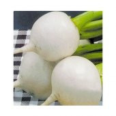 Arzuman Beyaz Turp Tohumu 10 g thumbnail 2