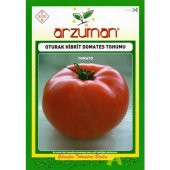 Arzuman Kutlu F1 Oturak Domates Tohumu 10 Adet - 1