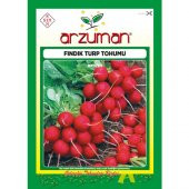 Arzuman Fındık Turp Tohumu 25 Gram - 1