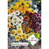 Arzuman Meramlı Kız Çiçeği Tohumu (20 Adet) - 1