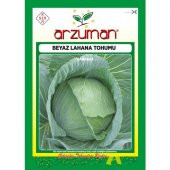 Arzuman Beyaz Lahana Tohumu 10 Gram - 1