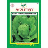 Arzuman Sebze Yedikule Marul Tohum 10 gr - 1